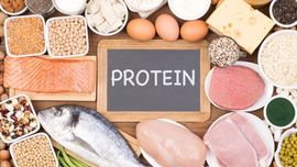 بدن روزانه چه مقدار پروتئین نیاز دارد؟